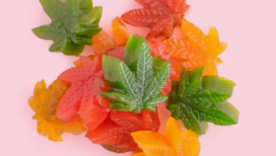 Best Cbd Gummies for Anxiety