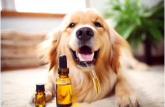 How Long Does Cbd Stay in Dogs System