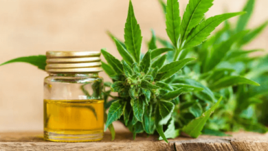 How Long Does Cbd Stay in Your System