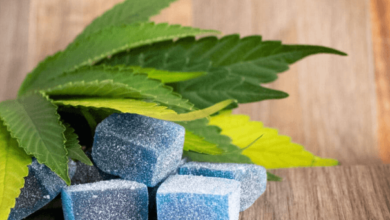 How Long Does Edible Cbd Stay in System