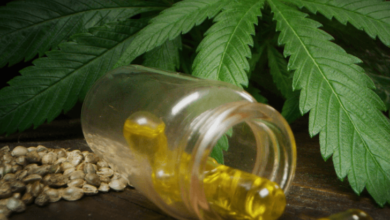 Is Cbd Allowed on Planes