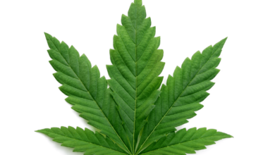 Is Cbd an Upper or Downer