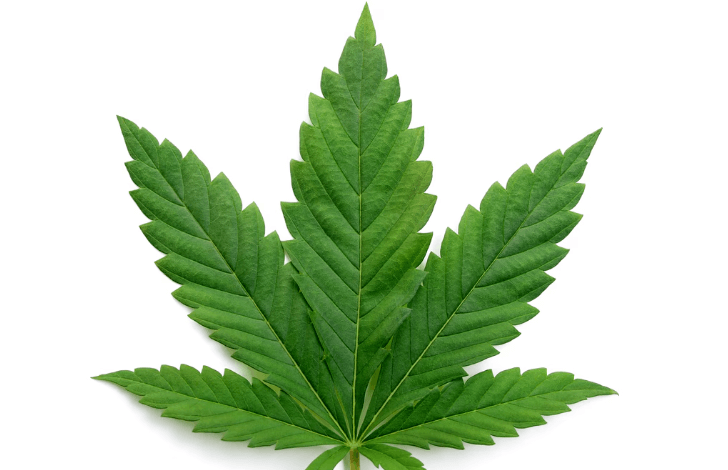 Is Cbd an Upper or Downer