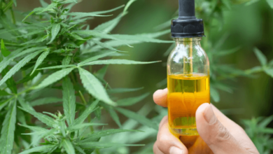 Is Cbd Bad for Cirrhosis of the Liver