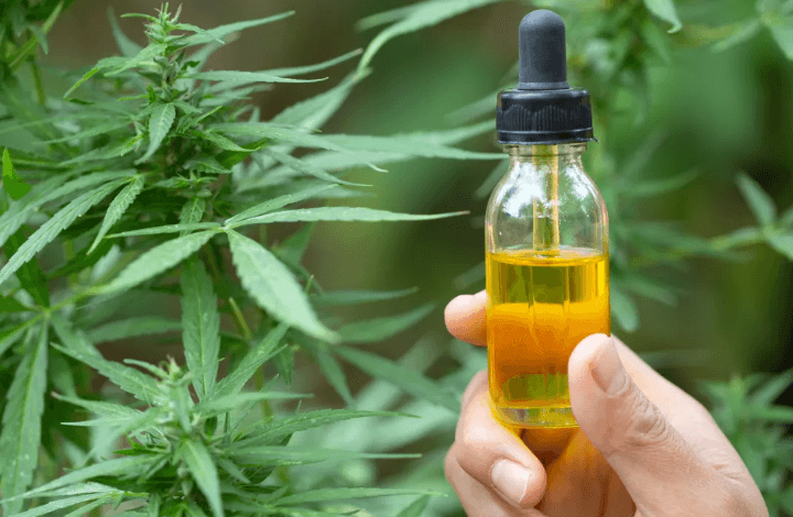 Is Cbd Bad for Cirrhosis of the Liver