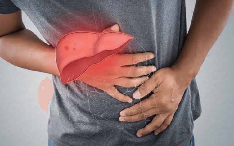 Is Cbd Bad for Your Liver