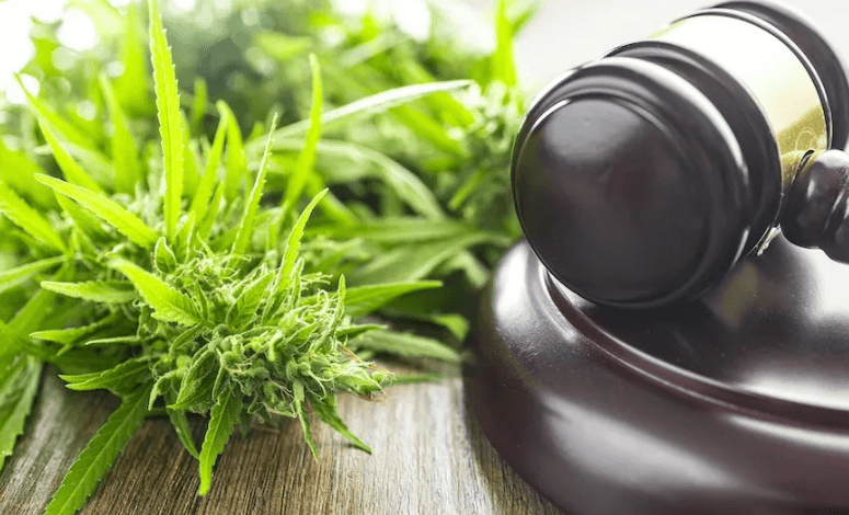 Is Cbd Legal in Italy