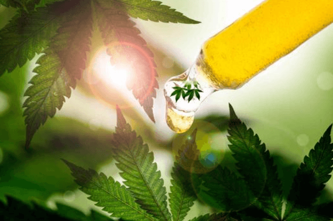 Is Cbd Legal in Mexico