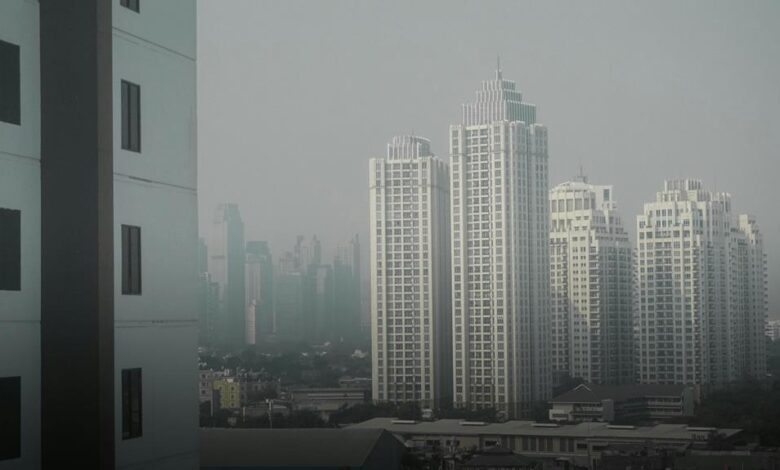cbd and brain fog