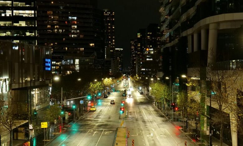 cbd and driving safety