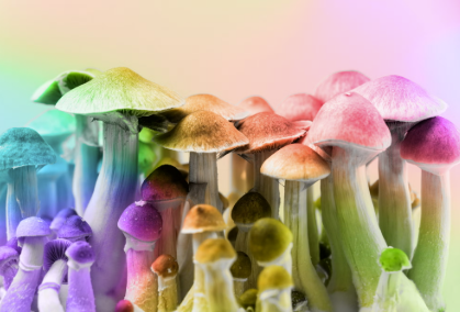 Psilocybin and Sleep: What Happens to Rest Before, During, and After a Session